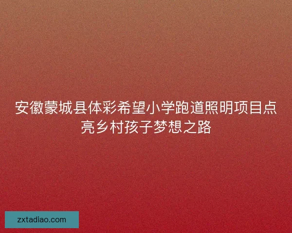 安徽蒙城县体彩希望小学跑道照明项目点亮乡村孩子梦想之路